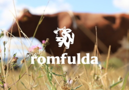 Romfulda Tomorrow Branding uai