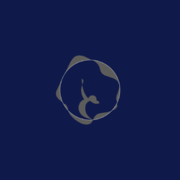 Federatia Romana de Gimnastica Ritmica brand identity construction Tomorrow Branding 0 uai